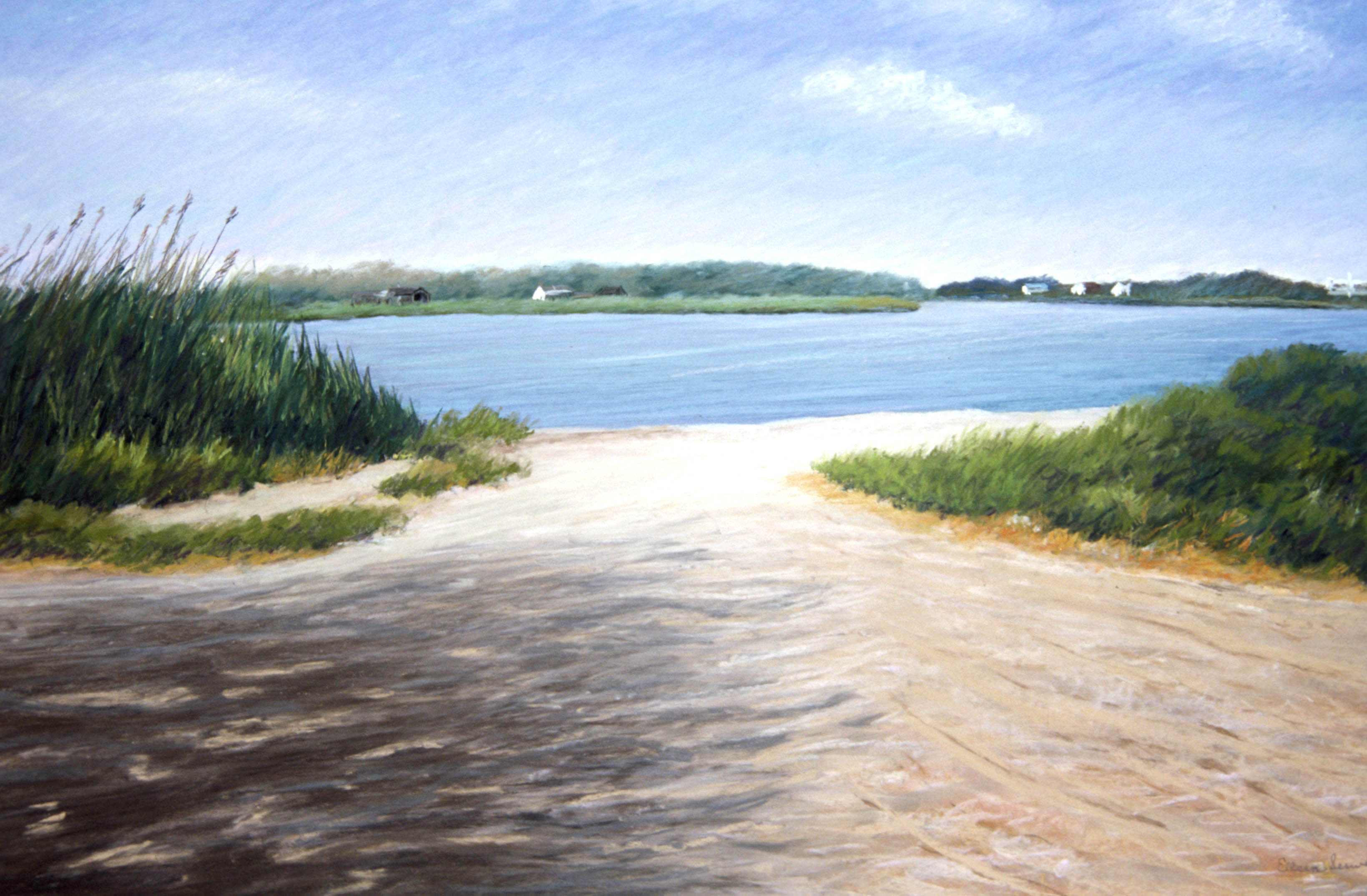 Path to Mecox Bay